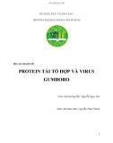 TIỂU LUẬN: PROTEIN TÁI TỔ HỢP VÀ VIRUS GUMBORO