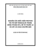 Luận án Tiến sĩ Sinh học: Nghiên cứu biểu hiện protein tái tổ hợp miraculin trong dòng tế bào BY2, rễ tơ thuốc lá và cây cà chua chuyển gen