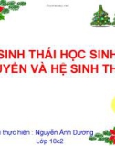 Bài báo cáo: Sinh thái học sinh quyển và hệ sinh thái