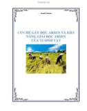 báo cáo: CƠ CHẾ GÂY ĐỘC ARSEN VÀ KHẢ NĂNG GIẢI ĐỘC ARSEN CỦA VI SINH VẬT