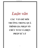 Luận văn: CÁC VẤN ĐỀ MÔI TRƯỜNG TRONG QUÁ TRÌNH GIA NHẬP TỔ CHỨC WTO VÀ BIỆN PHÁP XỬ LÝ