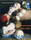 Báo cáo Việt Nam 2004 UNDP