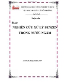 Luận Văn: NGHIÊN CỨU XỬ LÝ BENZEN TRONG NƯỚC NGẦM