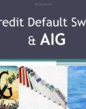 Thuyết trình: Credit Default Swap & AIG