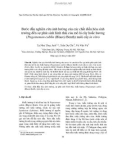 Báo cáo Bước đầu nghiên cứu ảnh hưởng của các chất điều hòa sinh trưởng đến sự phát sinh hình thái của mô lá cây hoắc hương (Pogostemon cablin (Blaco) Benth) nuôi cấy in vitro 