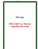 Tiểu luận: Mô tả dịch vụ: Tâm sự cùng ban mai xanh