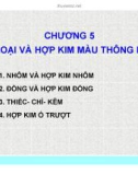 Bài giảng Vật liệu học: Chương 5 - Nguyễn Thanh Điểu (tt)