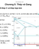 Bài giảng Vật liệu học: Chương 5 - Thép và gang