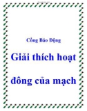 Cổng Báo Động