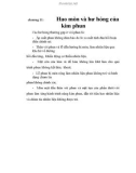 Phân tích cơ sở lý thuyết và mô phỏng đặc điểm, nguyên lý làm việc, quy trình tháo lắp hệ thống khởi động động cơ, chương 11