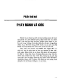 Giáo trình Phay (dùng cho trình độ trung cấp nghề và cao đẳng nghề): Phần 2 - Nguyễn Thị Quỳnh, Phạm Minh Đạo, Trần Thị Ninh