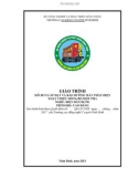 Giáo trình Lắp đặt và bảo dưỡng máy phát điện xoay chiều đồng bộ một pha (Nghề: Điện công nghiệp - Cao đẳng) - Trường Cao đẳng Cơ giới Ninh Bình (2021)