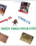 Bài giảng Công nghệ sản xuất cà phê nhân theo phương pháp ướt