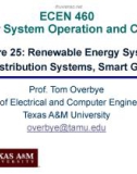 Lecture Power system operation and control - Lesson 25: Renewable energy systems, distribution systems, smart grid