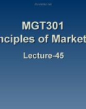 Principles of marketing: Lecture 45