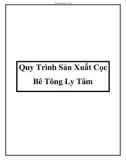 Quy Trình Sản Xuất Cọc Bê Tông Ly Tâm