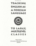 Teaching English as a foreign language to large, multilevel classes