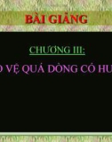 Bài giảng Bảo vệ Rơ le: Chương 3 - Bảo vệ quá dòng có hướng