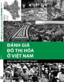 Báo cáo hỗ trợ kỹ thuật - Đánh giá Đô thị hóa ở Việt Nam