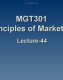 Principles of marketing: Lecture 44