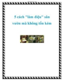 5 cách làm điệu sân vườn mà không tốn kém