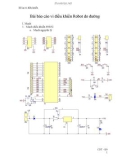 Bài báo cáo vi điều khiển Robot do đường