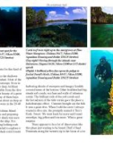 Underwater Photographya web magazine phần 6