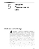 Environmental Soil Chemistry - Chapter 5