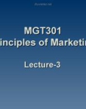 Principles of marketing: Lecture 3