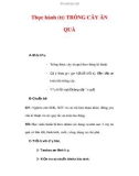 Giáo án Công nghệ lớp lớp 9 : Tên bài dạy : Thực hành (tt) TRỒNG CÂY ĂN QUẢ