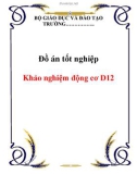 Đồ án tốt nghiệp: Khảo nghiệm động cơ D12