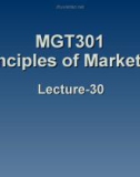 Principles of marketing: Lecture 30