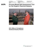 Process-Based Self-Assessment Tool for the Organic Chemical l Industry: EPA Office of Compliance Chemical Industry Branch