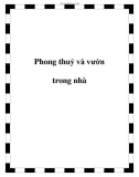 Phong thuỷ và vườn trong nhà