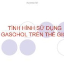 TÌNH HÌNH SỬ DỤNG GASOHOL TRÊN THẾ GIỚI