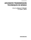 Advanced Transmission Techniques in WiMAX Part 1