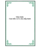 Giáo trình: Cảm biến và Cơ cấu chấp hành