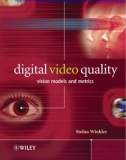 Digital Video Quality Vision Models and Metrics