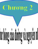 Bài giảng Bảo dưỡng và sữa chữa đường ô tô - Chương 2: Biến dạng, hư hỏng của đường và nguyên nhân gây ra