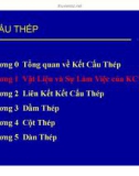 Bài giảng Kết cấu thép: Chương 1 - ThS. Cao Tấn Ngọc Thân