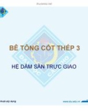 Bài giảng Bê tông cốt thép 3: Hệ dầm sàn trực giao - ThS. Lê Nông