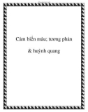 Kỹ thuật Cảm biến màu; tương phản & huỳnh quang