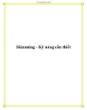 Skimming - Kỹ năng cần thiết