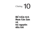 Địa chất và tài nguyên dầu khí Việt Nam - Chương 10