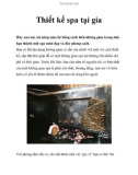 Thiết kế spa tại nhà