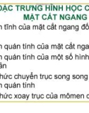 Đặc trưng hình học mặt cắt ngang