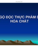 Bài giảng Vệ sinh an toàn thực phẩm: Ngộ độc thực phẩm do hóa chất - ThS. Văn Hồng Thiện