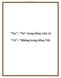 'Yes', 'No' trong tiếng Anh và 'Có', 'Không trong tiếng Việt