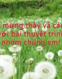 Đề tài: TÌM HIỂU VỀ HỒ QUANG ĐIỆN 1 CHIỀU CÁCH DẬP TẮT VÀ ẢNH HƯỞNG CỦA NÓ