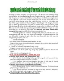 Định hướng soạn Giáo án - Bài Giảng điện tử theo tinh thần đổi ới phương pháp dạy học